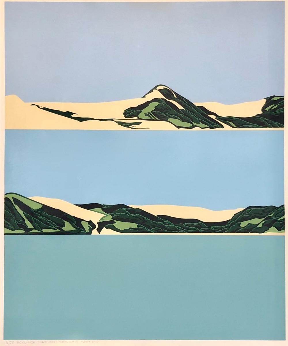 Robin White comparable auction result: robin white b 1946 hokianga sandhills