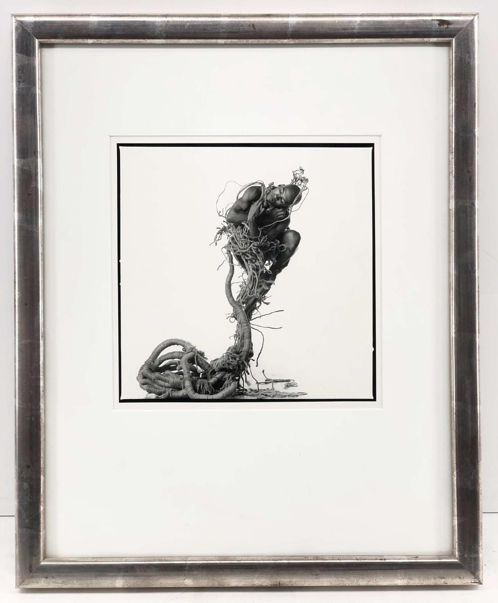 lois greenfield sham mosher signed gelatin silver print · Bradford's · 2020-07-19 Lois Greenfield comparable auction result: lois greenfield sham mosher signed gelatin silver print