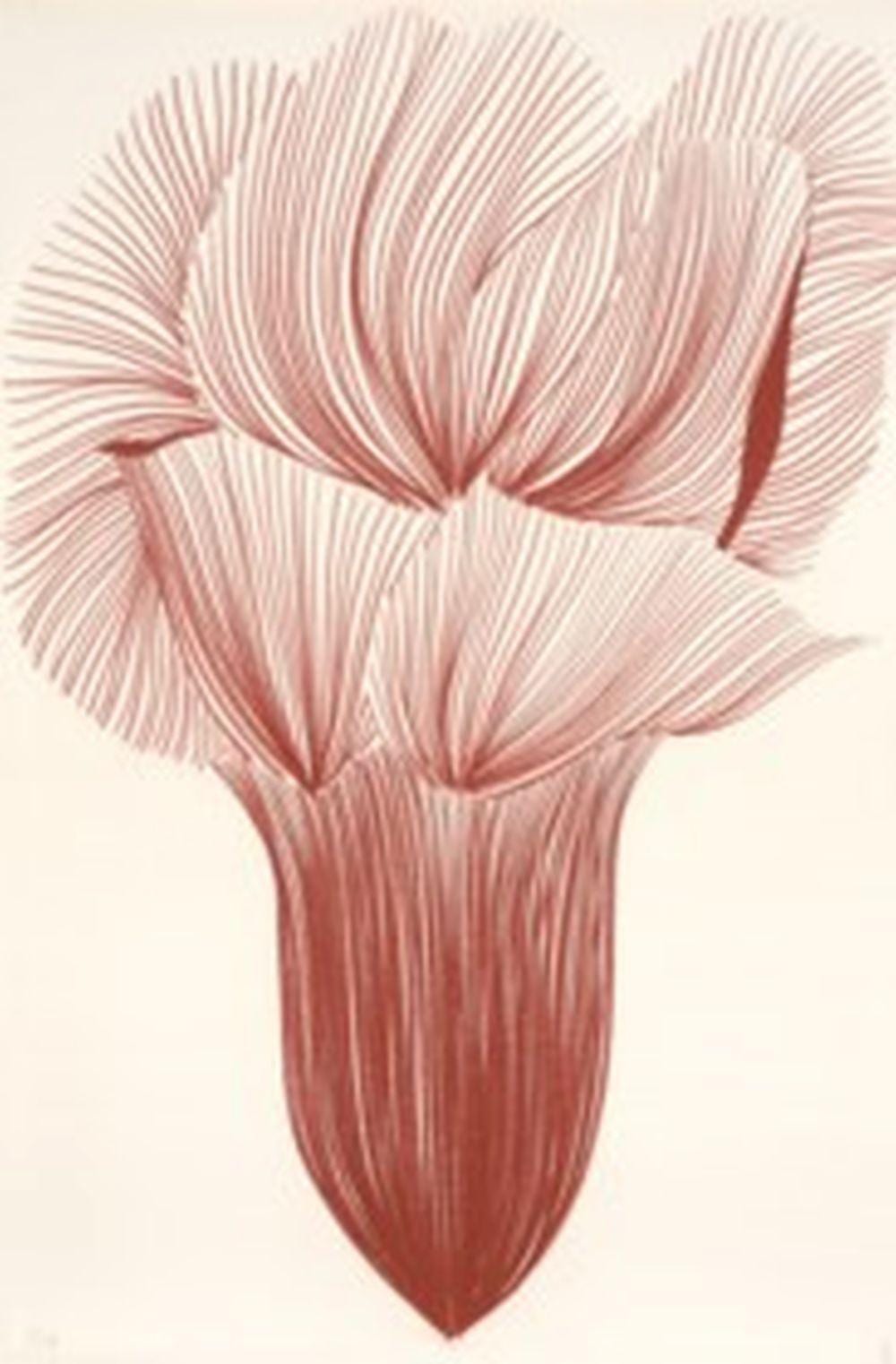 Nadjia Mehadji comparable auction result: najia mehadji maroc france n e en 1950 fleur de grenade