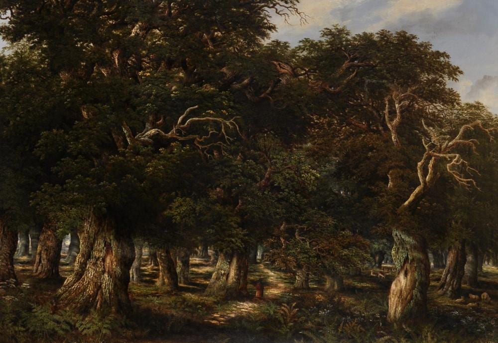 charles leaver 1824 1888 british figure and sheep in a wooded landscape oil on canvas signed 28 x 42 · John Nicholson's Fine Art Auctioneers & Valuers · 2020-07-17 Charles Leaver comparable auction result: charles leaver 1824 1888 british figure and sheep in a wooded landscape oil on canvas signed 28 x 42
