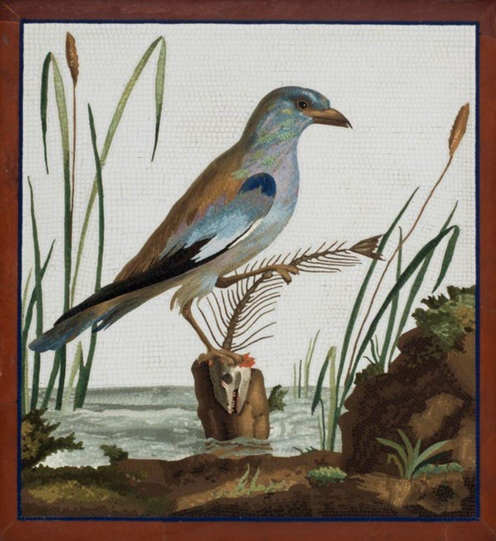 Giacomo Raffaelli comparable auction result: giacomo raffaelli rome 1753 1836 rome circa 1800 bird with a fish