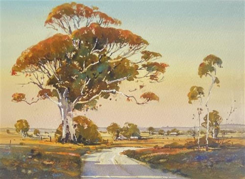Brian Dobson comparable auction result: brian dobson b 1947 new zealand australia sunlit gums milthorpe 2010 watercolour