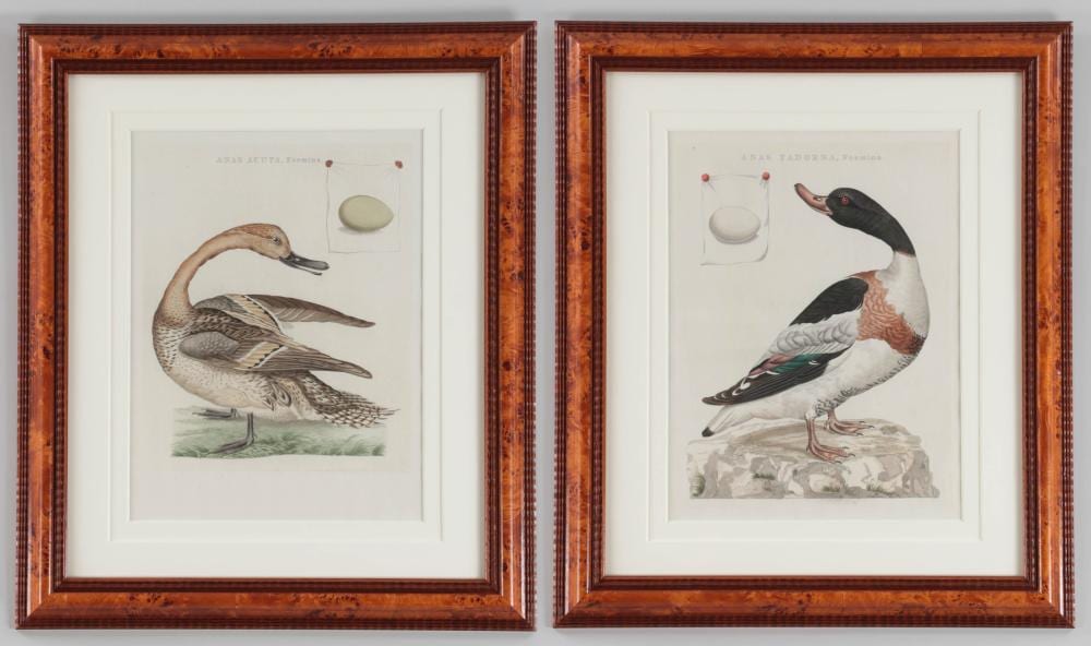 Cornelius Nozeman comparable auction result: cornelius nozeman dutch 1720 1786