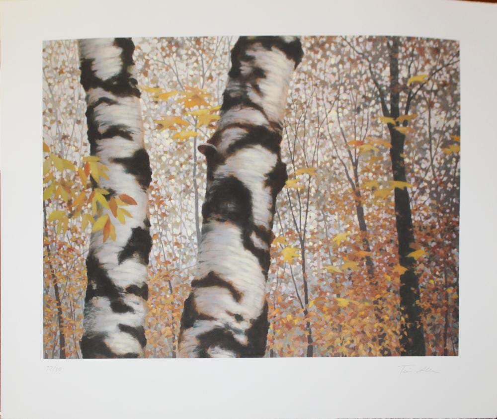 Tim Allen comparable auction result: tim allen am vt putney mountain autumn