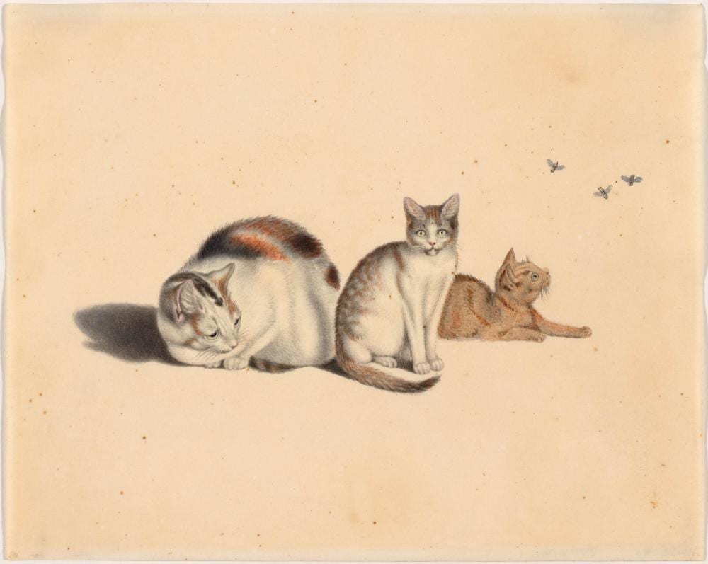 Gottfried Mind comparable auction result: gottfried mind