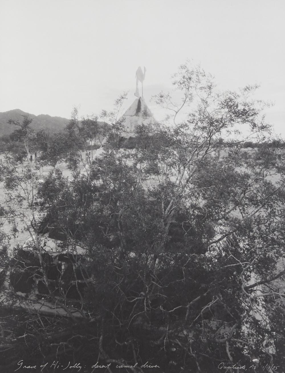 Mark Klett comparable auction result: mark klett grave of hi jolly photograph