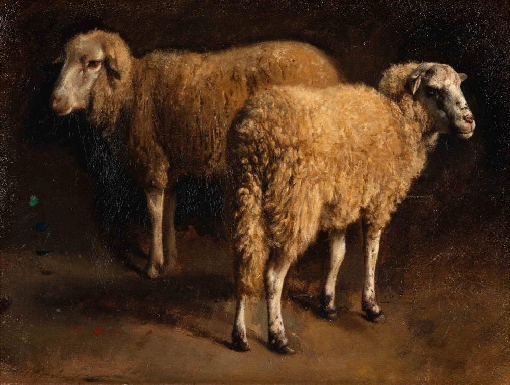Auguste André Lançon comparable auction result: auguste francois auguste bonheur french 1824 1884 study of two sheep