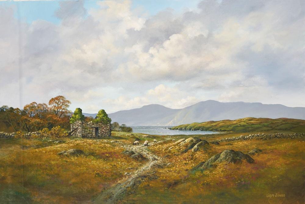 Liam Jones comparable auction result: liam jones connemara galway