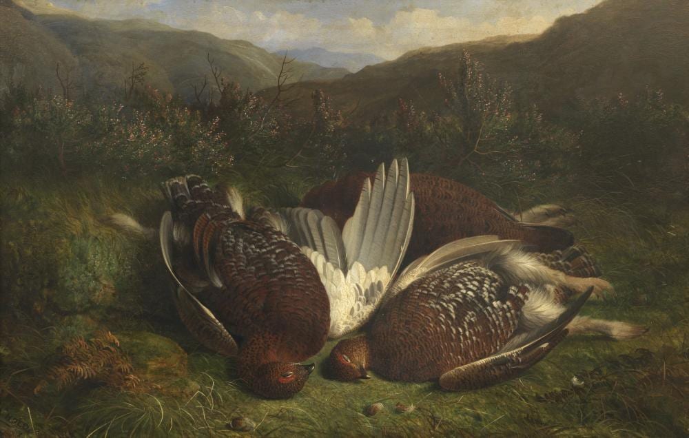 abel hold british 1815 1891 shot grouse on the moors · Bonhams · 2020-09-23 Abel Hold comparable auction result: abel hold british 1815 1891 shot grouse on the moors