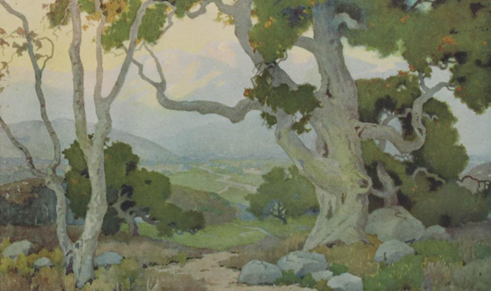 Marion Wachtel comparable auction result: marion wachtel print entitled the oaks c1917