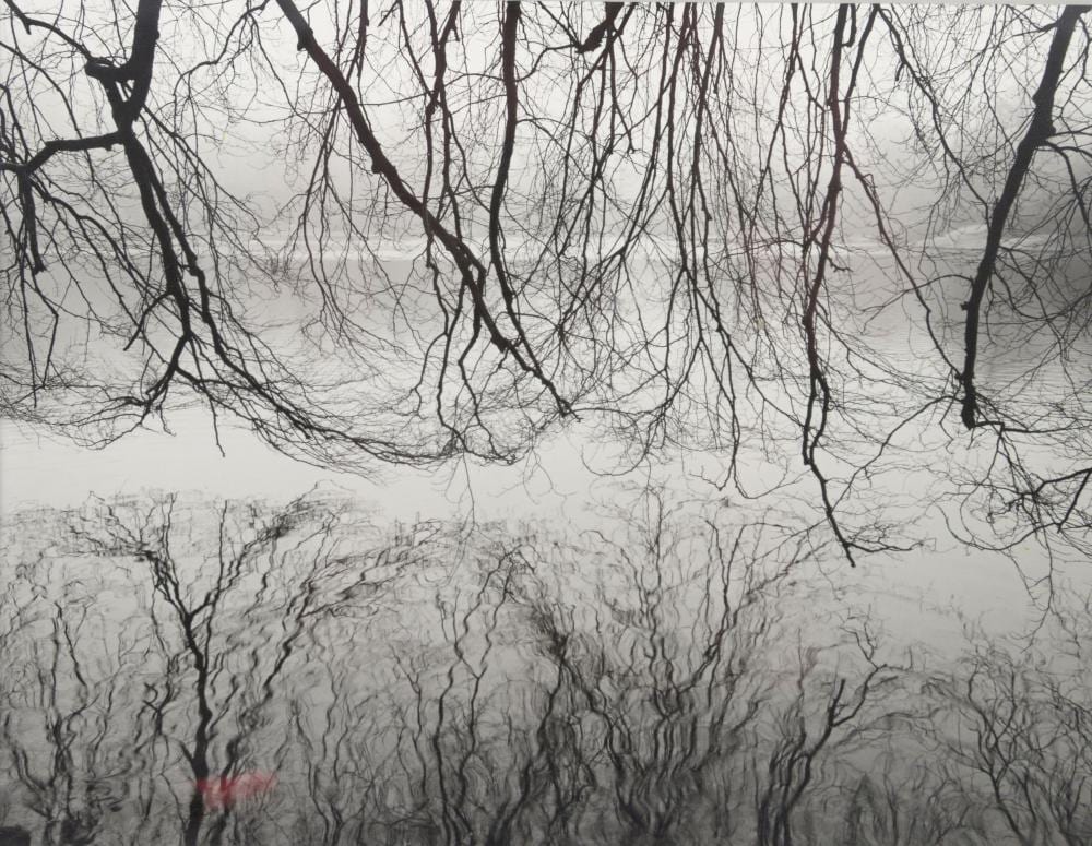 Fay Godwin comparable auction result: fay godwin 1931 2005 copper beech stourhead l