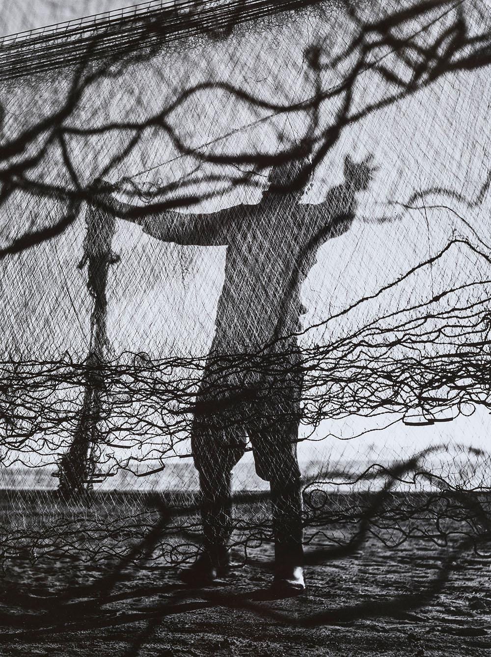 Siegfried Lauterwasser comparable auction result: siegfried lauterwasser 1913 2000