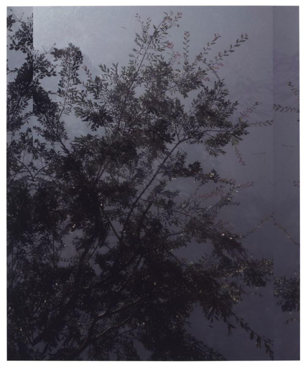 Luisa Lambri comparable auction result: luisa lambri b 1969 untitled sheats goldstein house 37 2007