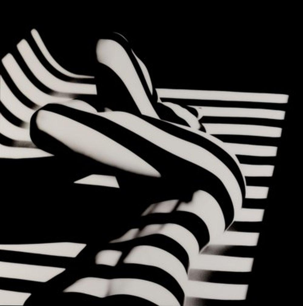 Francis Giacobetti comparable auction result: francis giacobetti n en 1939 zebra 14 2000