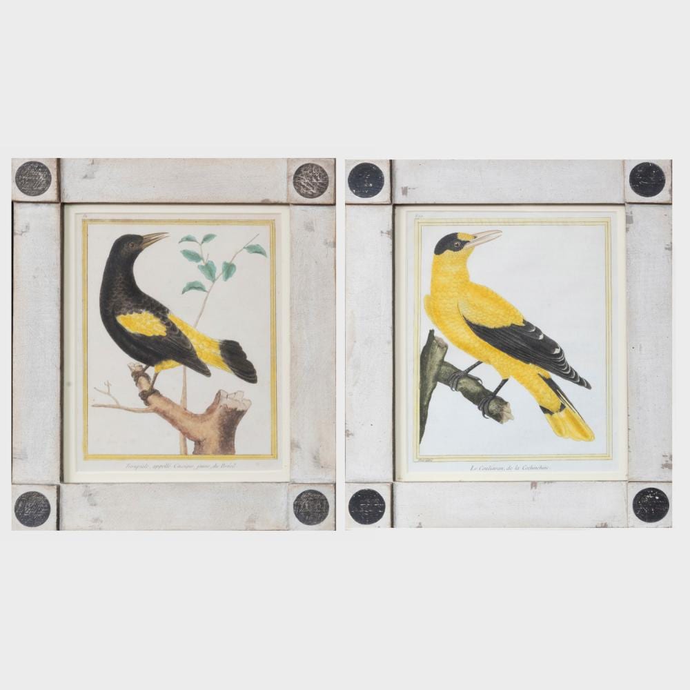 François Nicolas Martinet comparable auction result: fran ois nicolas martinet 1731 1804 le couliavan de la cochinchine and troupiale appell cassique jaune du br sil