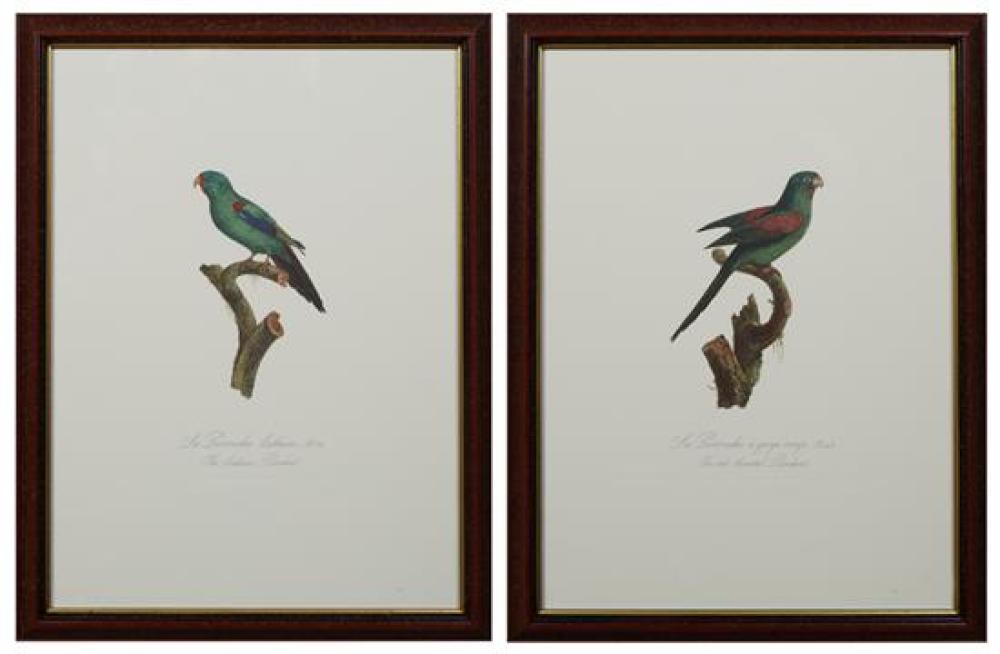 Francois Levaillant comparable auction result: francois levaillant 1753 1824 french la perruche a gorge rouge and la perruche latham 20th c pair of colored parrot prin