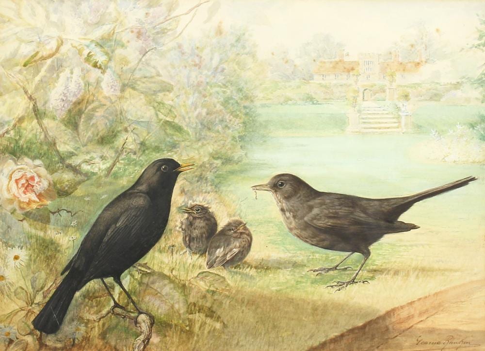 George Rankin comparable auction result: george rankin 1864 1937 british blackbirds feeding in a country garden watercolour signed 10 x 13 5