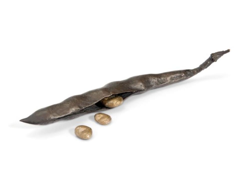 Anya Gallaccio comparable auction result: anya gallaccio b 1963 broad bean with three loose beans two small