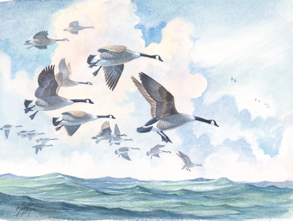 Ron Jenkins comparable auction result: ron jenkins original watercolor on board