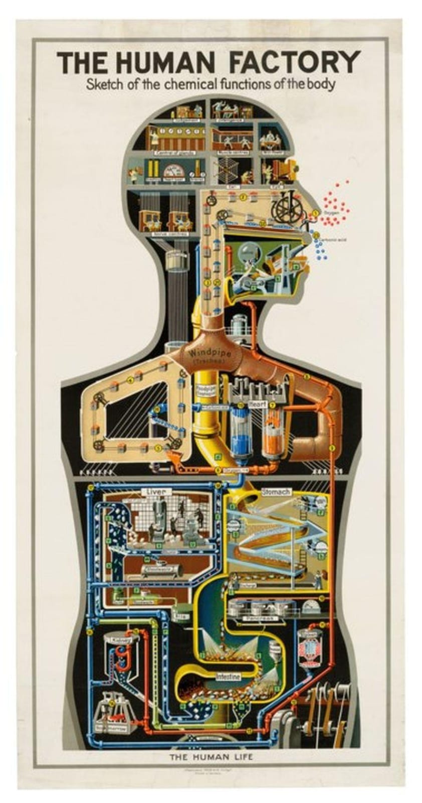 Fritz Kahn comparable auction result: fritz kahn 1888 1968 the human factory 1931