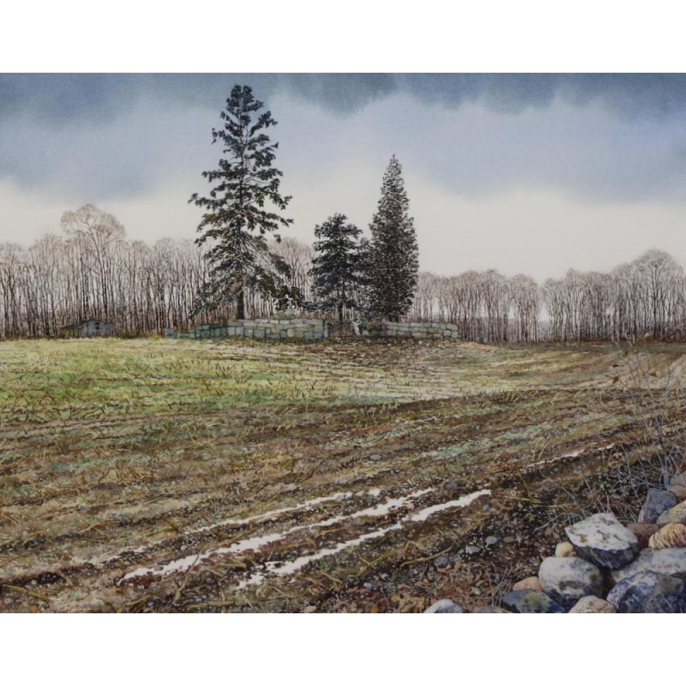 Andrew Nathaniel Wyeth comparable auction result: andrew nathaniel wyeth american b 1948