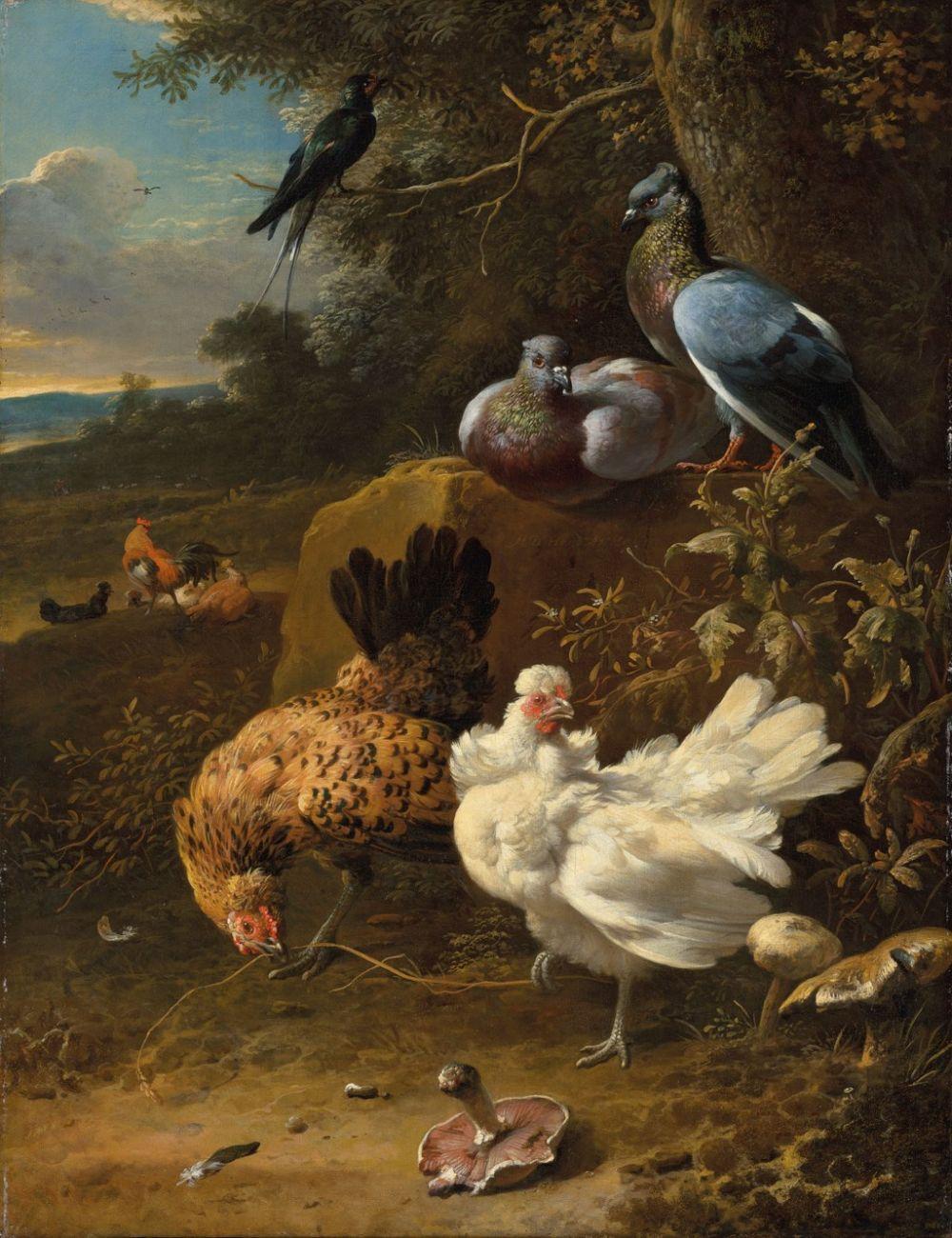 Melchior d'Hondecoeter comparable auction result: melchior d hondecoeter utrecht 1636 1695 amsterdam chickens and pigeons i