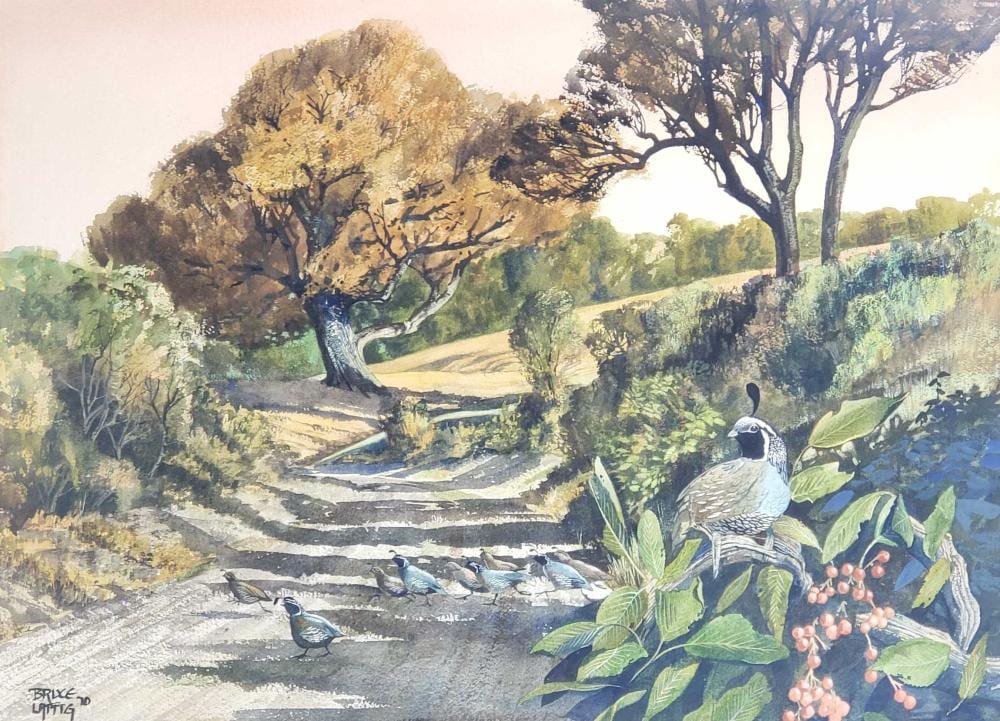 bruce lattig b 1933 watercolor on paper · EJ'S Auction & Appraisal · 2021-01-01 Bruce Lattig comparable auction result: bruce lattig b 1933 watercolor on paper