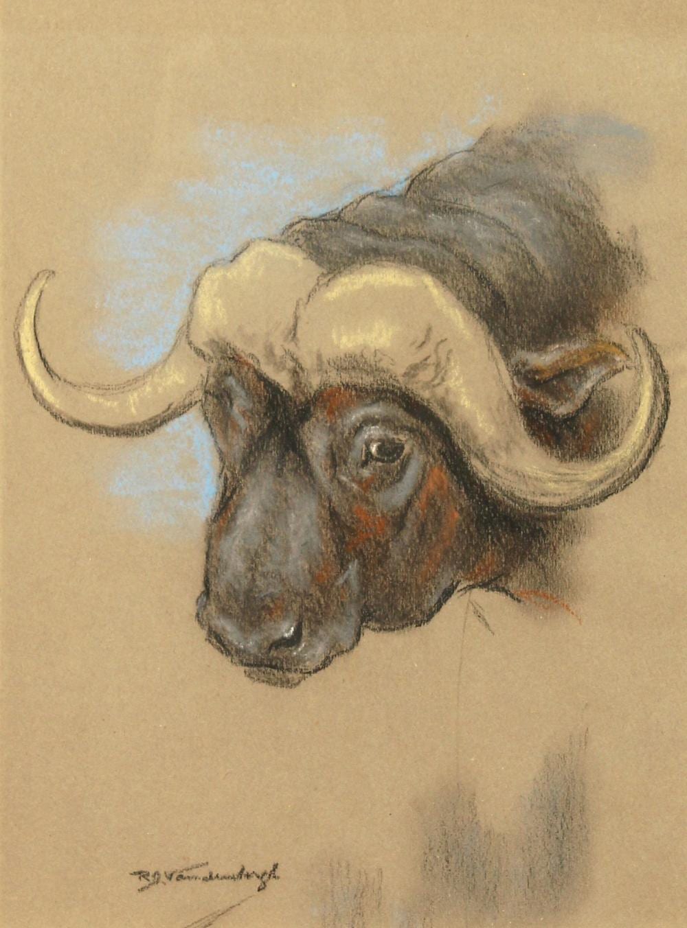 Raymond John Vandenbergh comparable auction result: raymond john vandenbergh 1889 1960 s british a water buffalo pastel signed 10 5 x 8