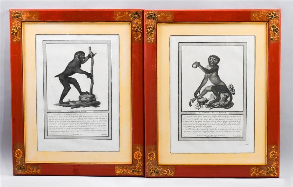 Nicolas Henri Jacob comparable auction result: nicolas henri jacob french 1782 1871 two prints from naturale delle scimie e dei maki stipple engraving 12 x 8 1 2 in plate