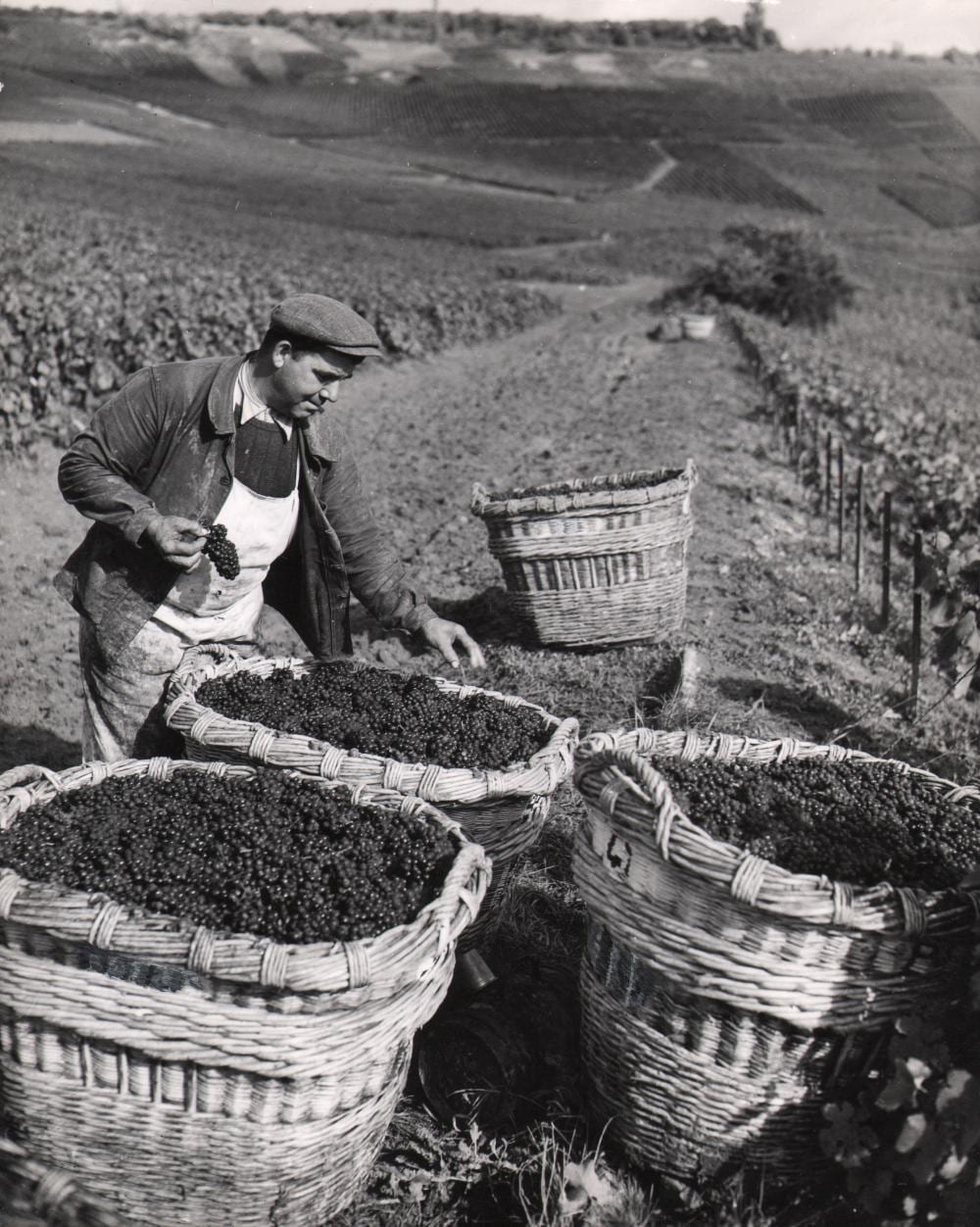 Rene Jacques comparable auction result: rene jacques perrier jouet champagne c 1930s