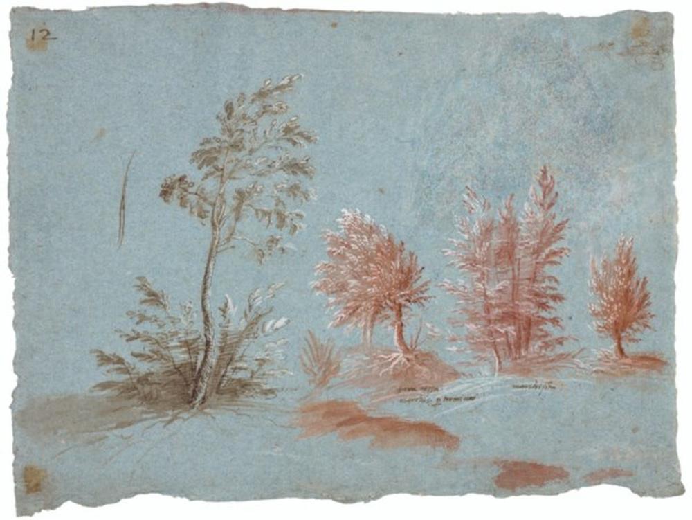 Gherardo Cibo comparable auction result: gherardo cibo genoa 1512 1597 arcevia studies of trees