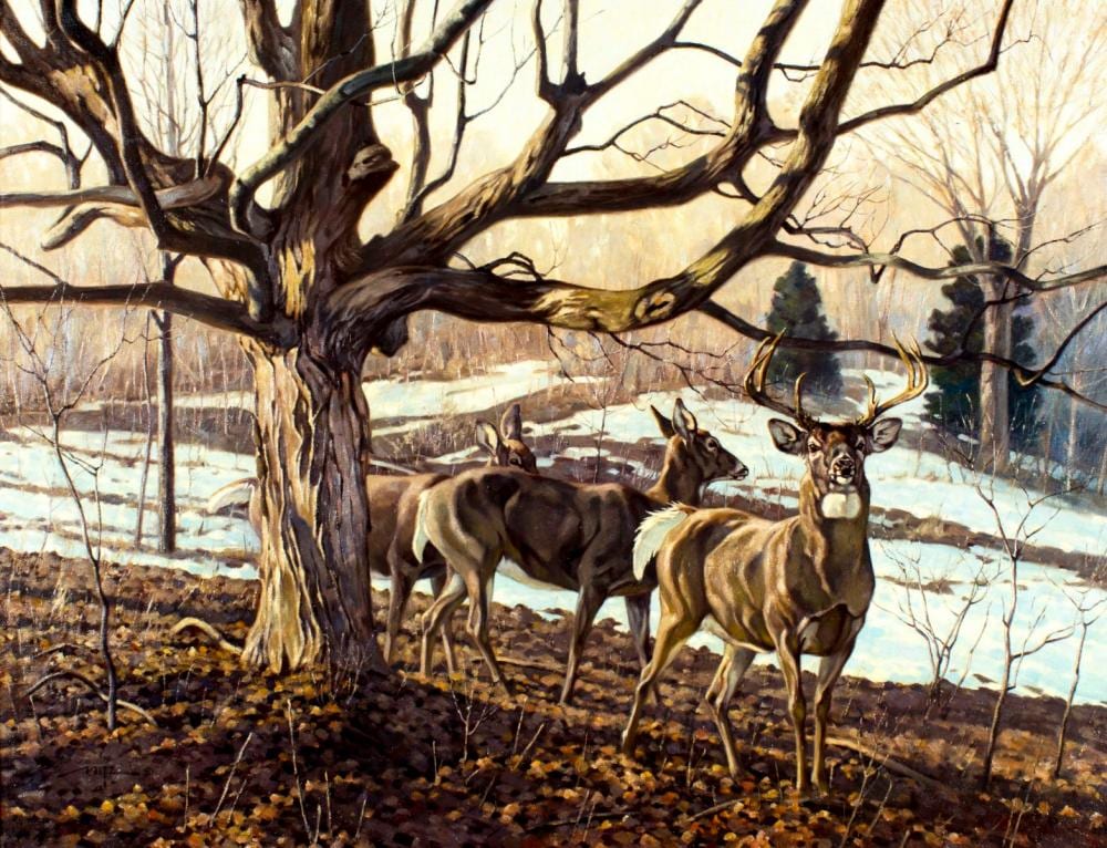 Daniel Metz comparable auction result: dan metz minnesota born 1951 oil painting