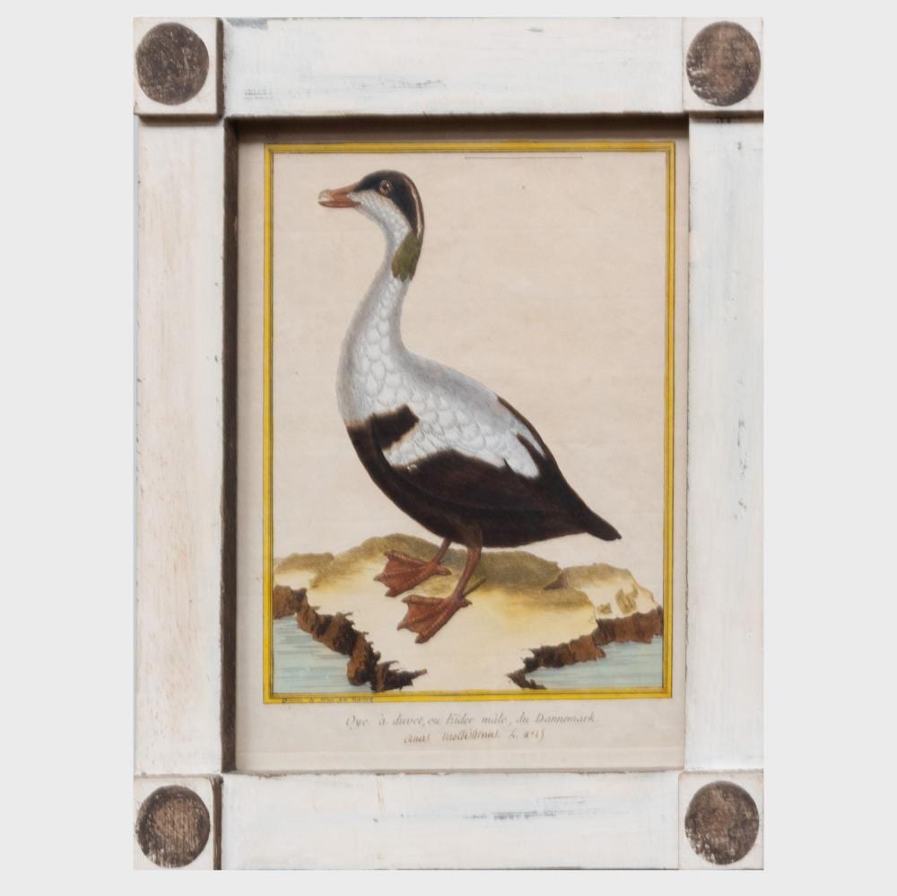 François Nicolas Martinet comparable auction result: fran ois nicolas martinet 1731 1804 ornithological prints four plates