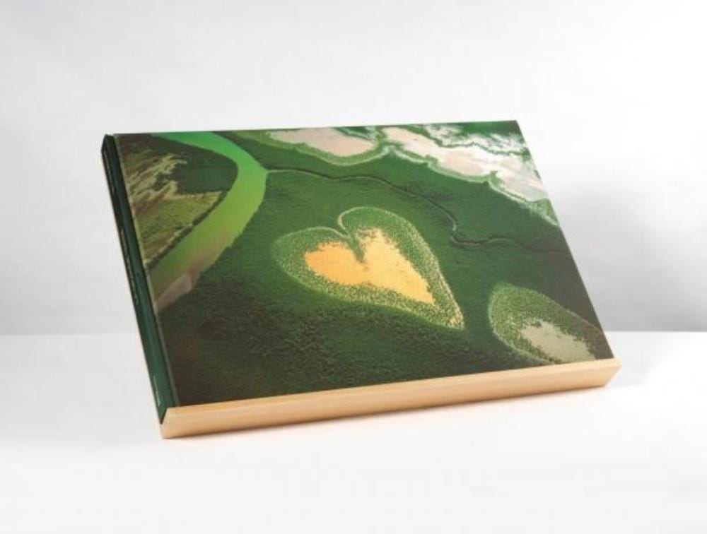 Yann Arthus-Bertrand comparable auction result: yann arthus bertrand ne en 1946 la grande terr
