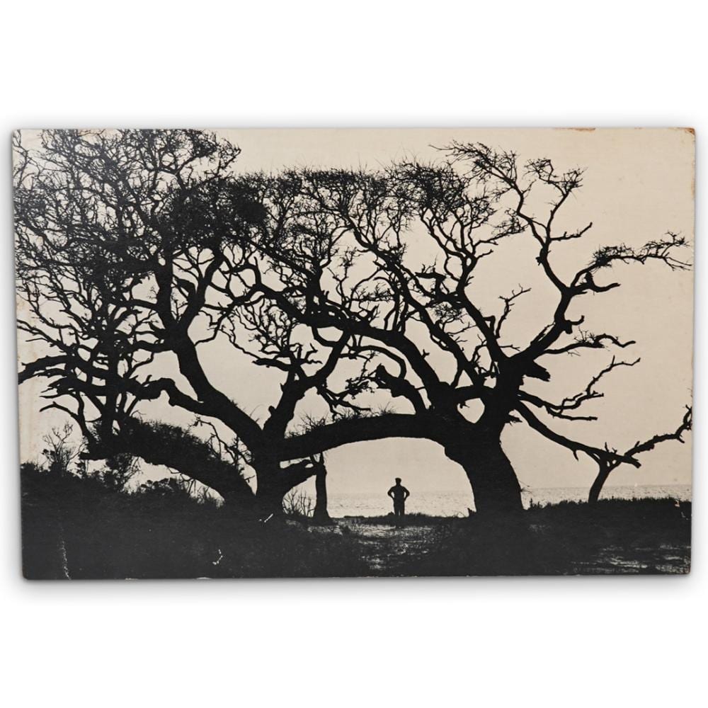 Kosti Ruohomaa comparable auction result: kosti ruohomaa photography print