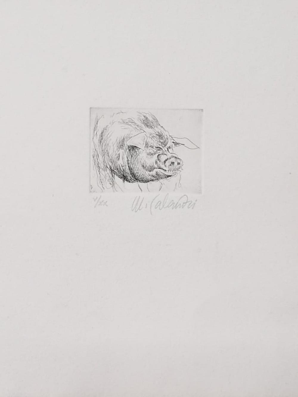 Mario Calandri comparable auction result: mario calandri untitled