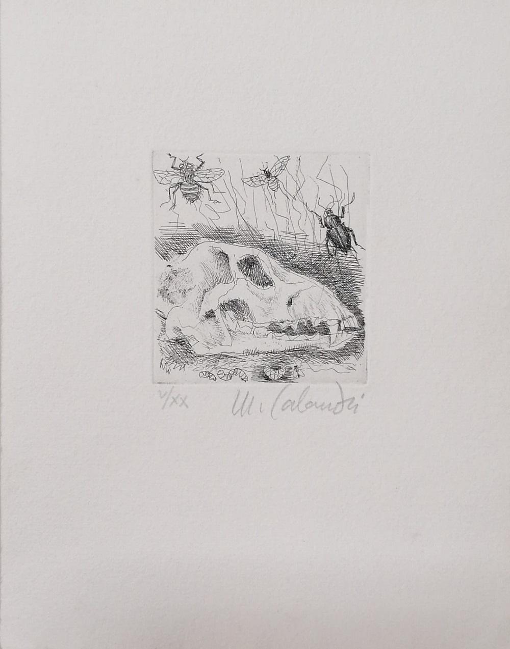 Mario Calandri comparable auction result: mario calandri untitled