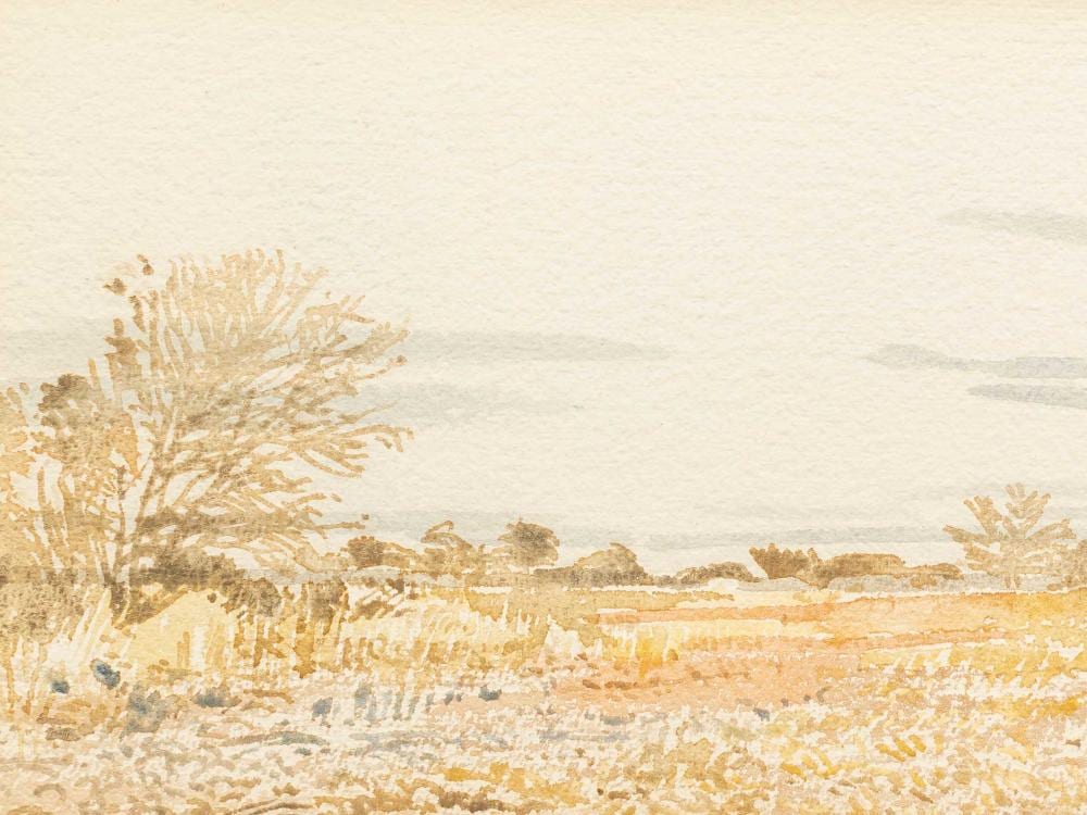 Adolph Stephan Friedrich Jentsch comparable auction result: adolph jentsch namibian 1888 1977 watercolour landscape signed with initials dated 1959 17 x 37