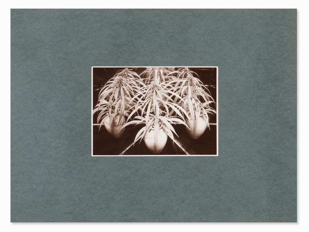 fred koch reflections with hemp germany 1920s · Amadeus Auction · 2021-03-07 Fred Koch comparable auction result: fred koch reflections with hemp germany 1920s
