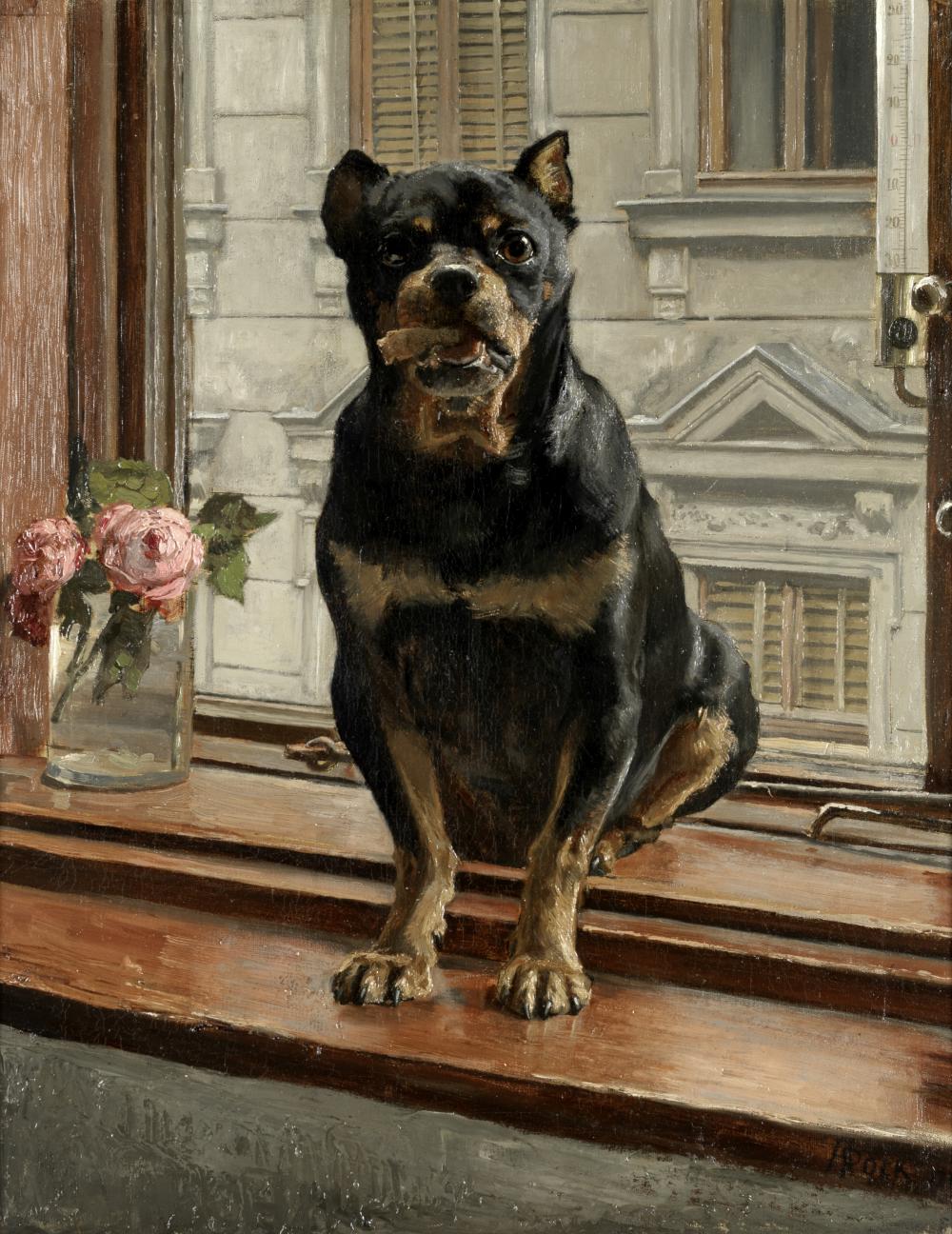 Alexander Pock comparable auction result: alexander pock austrian 1871 1950 rottweiler on a windowsill