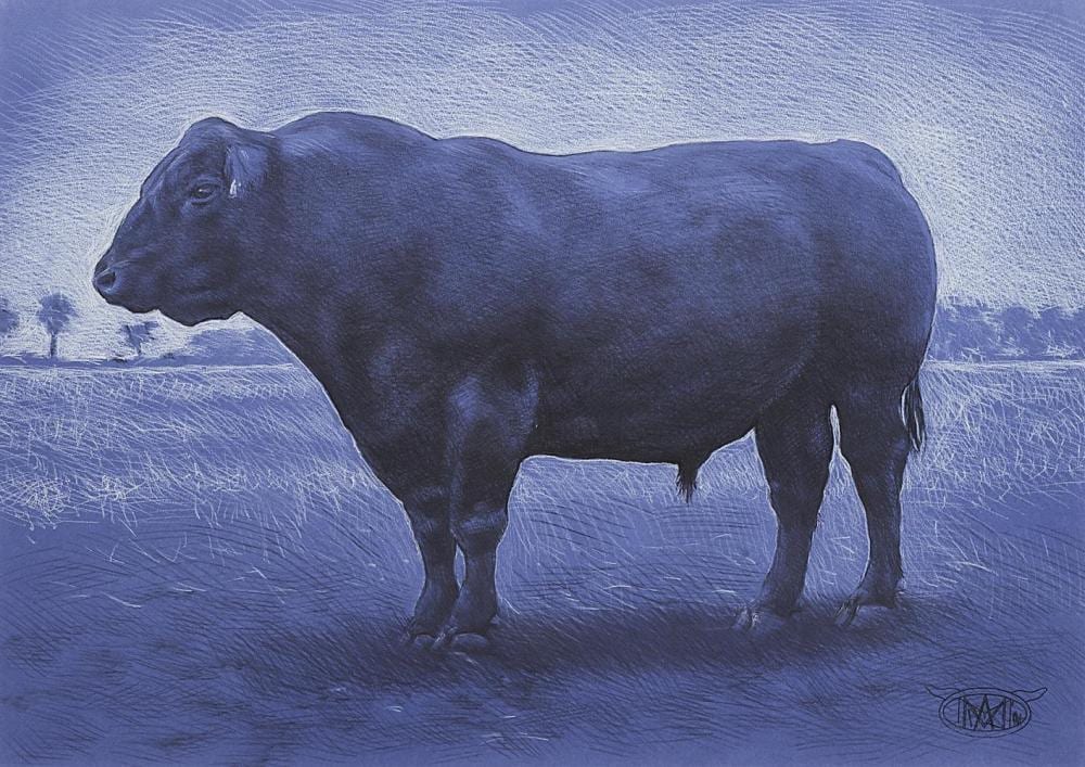 angus mcdonald b 1961 · Shapiro Auctioneers · 2021-03-02 Angus McDonald comparable auction result: angus mcdonald b 1961
