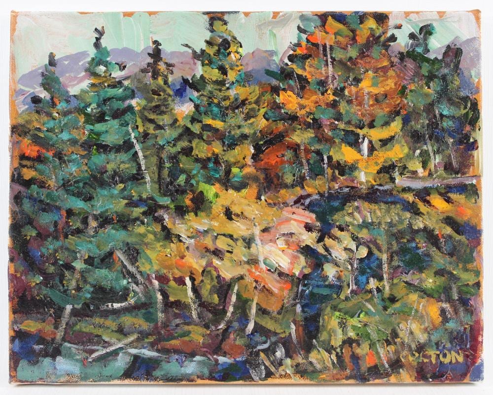 Al Colton comparable auction result: al colton northern ontario
