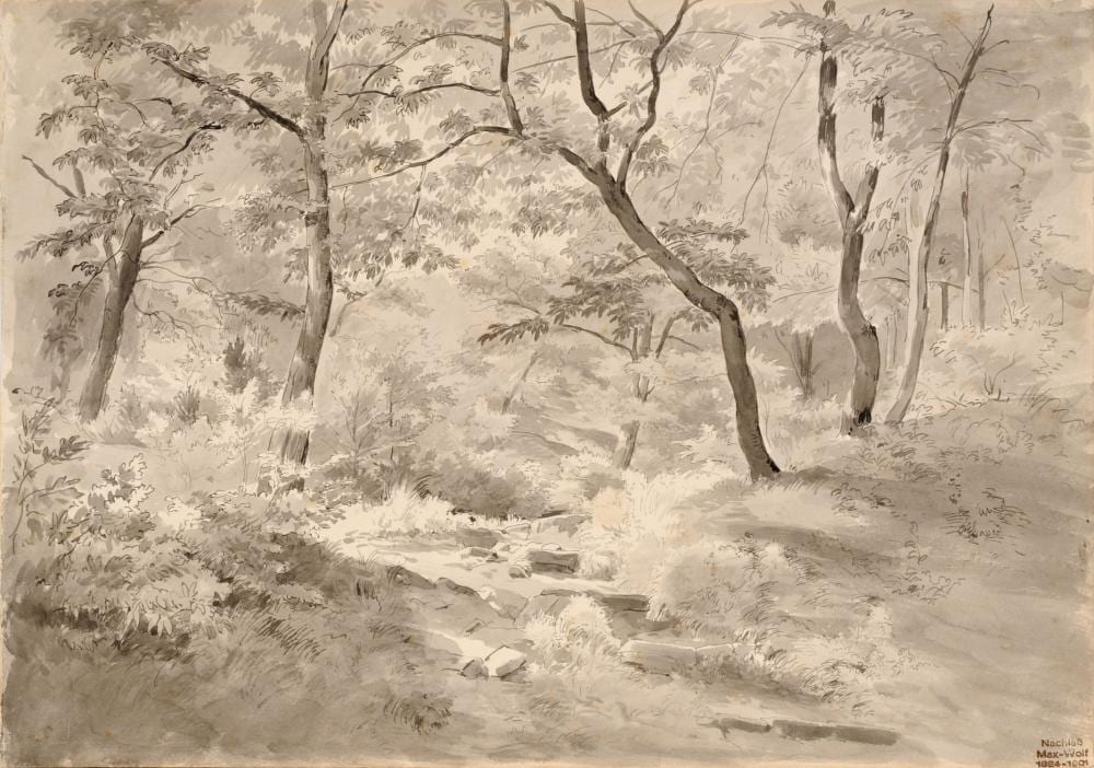 Max (1824) Wolf comparable auction result: max wolf waldlandschaft 1860 s