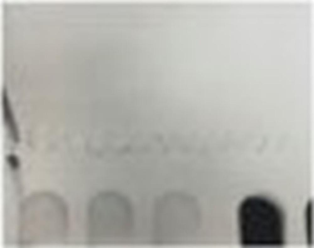 Nasreen Mohamedi comparable auction result: nasreen mohamedi 1937 1990 untitled gelatin silver print on paper 9 3 8 x