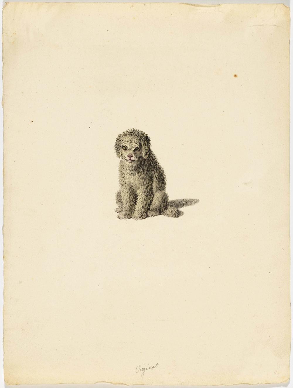 Gottfried Mind comparable auction result: gottfried mind