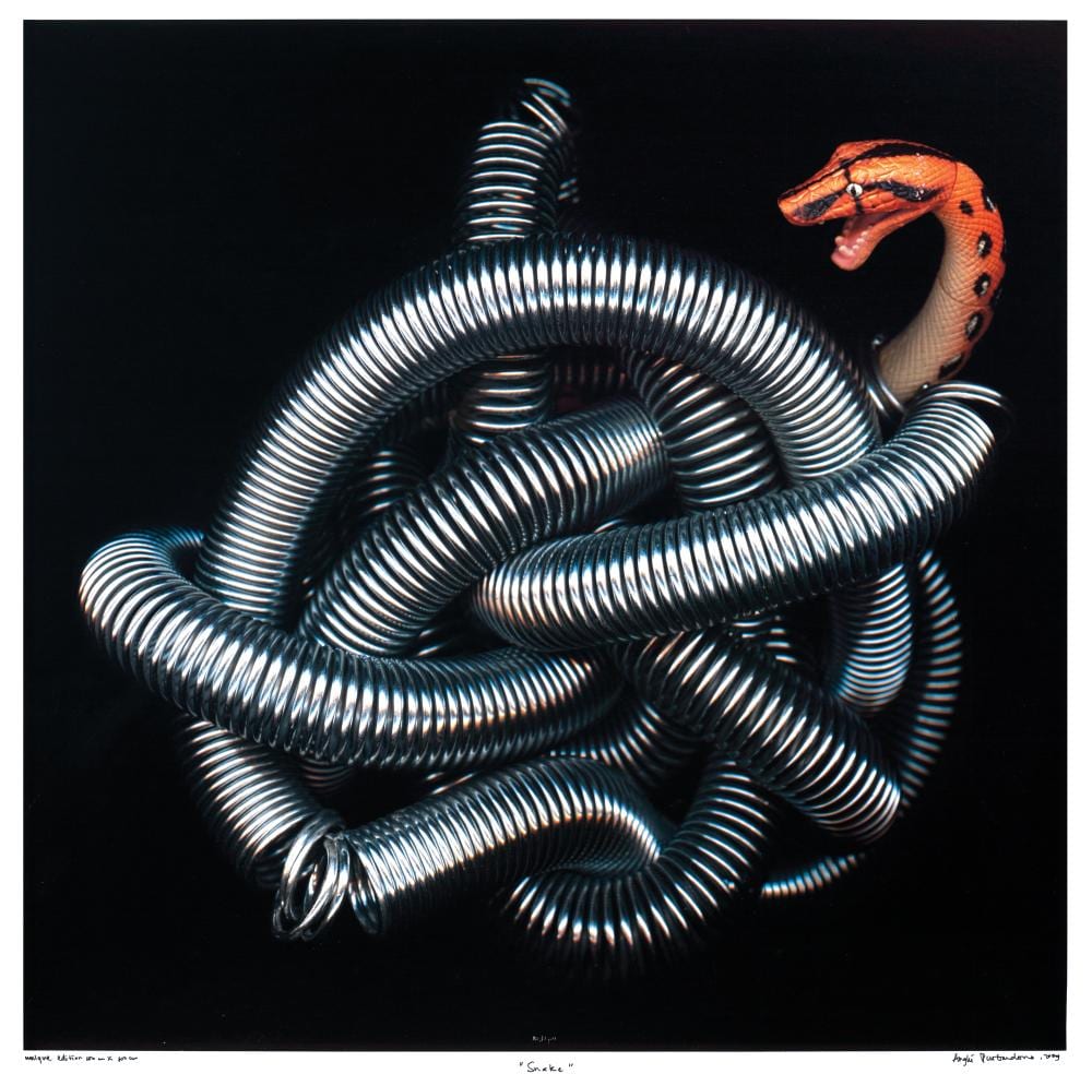 Angki Purbandono comparable auction result: angki purbandono b indonesia 1971 snake 2009