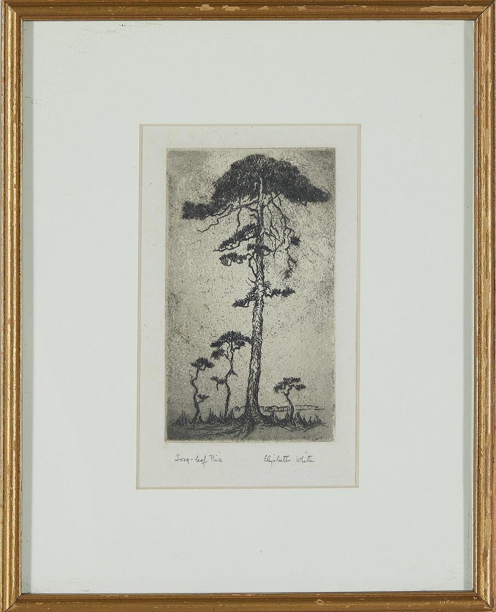 elizabeth white · Charlton Hall · 2021-04-02 Elizabeth White comparable auction result: elizabeth white