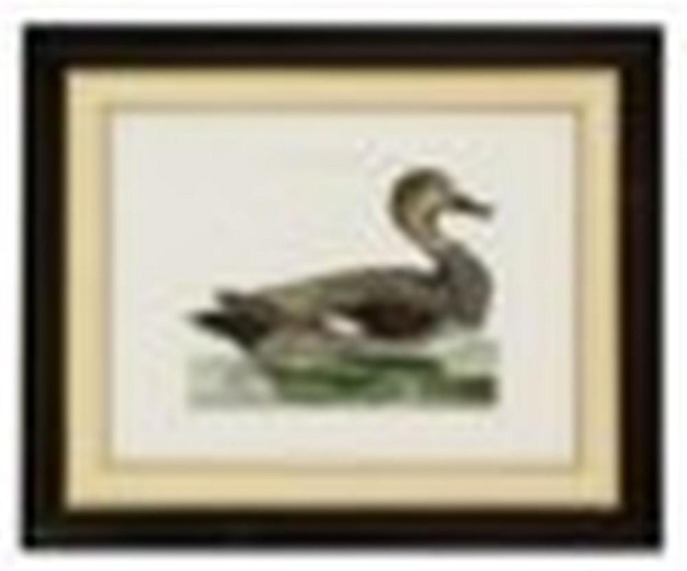 Cornelius Nozeman comparable auction result: cornelius nozeman 1721 1286