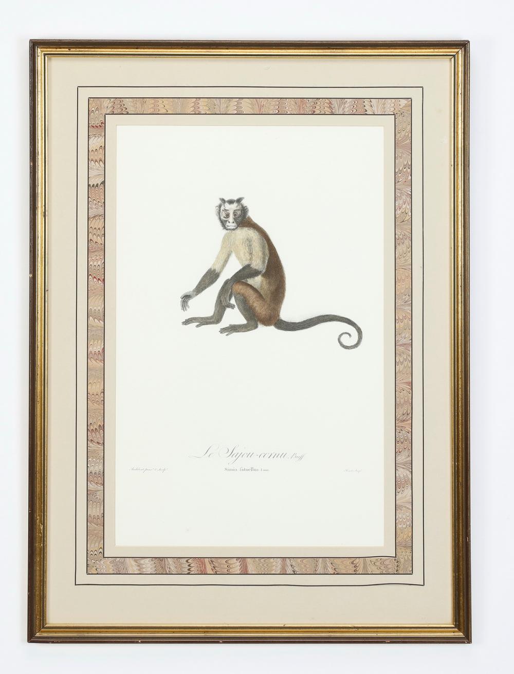 Jean Baptiste Audebert comparable auction result: 19th c french hand colored engraving