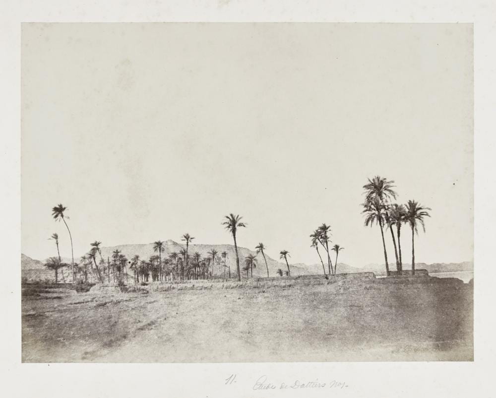 John Beasley Greene comparable auction result: john beasley greene 1832 1856 tude de dattiers